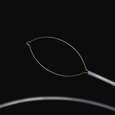 Uri ng panga ang mga dayuhang forceps sa katawan