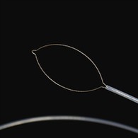 Prong type ang mga dayuhang forceps sa katawan